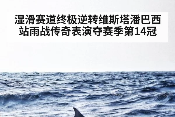 湿滑赛道终极逆转维斯塔潘巴西站雨战传奇表演夺赛季第14冠