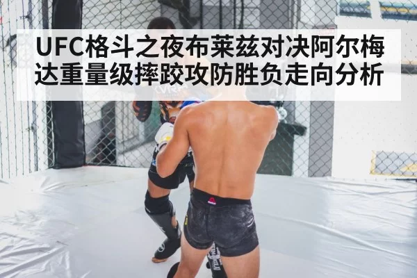 UFC格斗之夜布莱兹对决阿尔梅达重量级摔跤攻防胜负走向分析